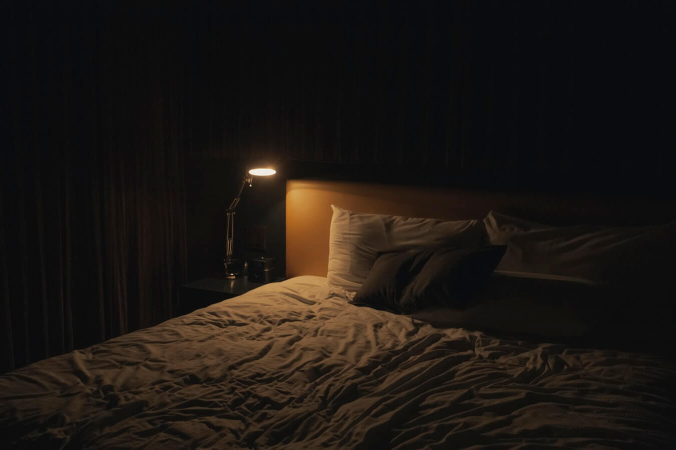 Read more about the article Bed Bugs Facts & Threats They Bring To The Residents Of Sydney