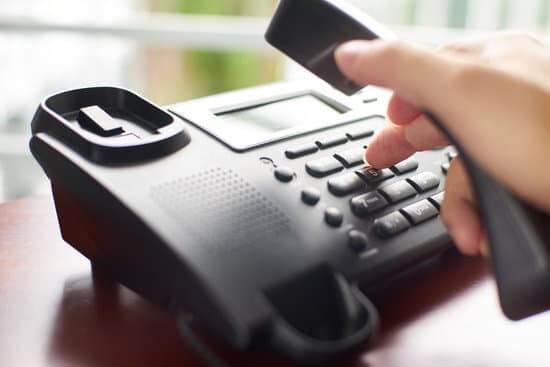 Read more about the article What You Need To Know Before Calling a Pest Control