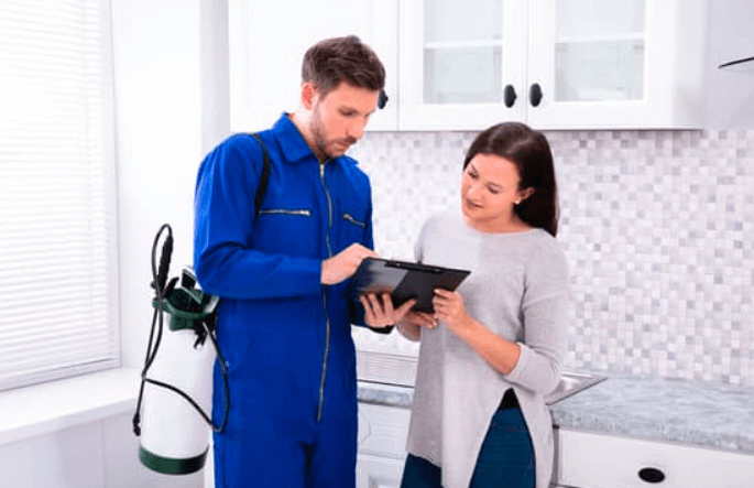 Read more about the article A Complete Guide To Pests And Pest Control