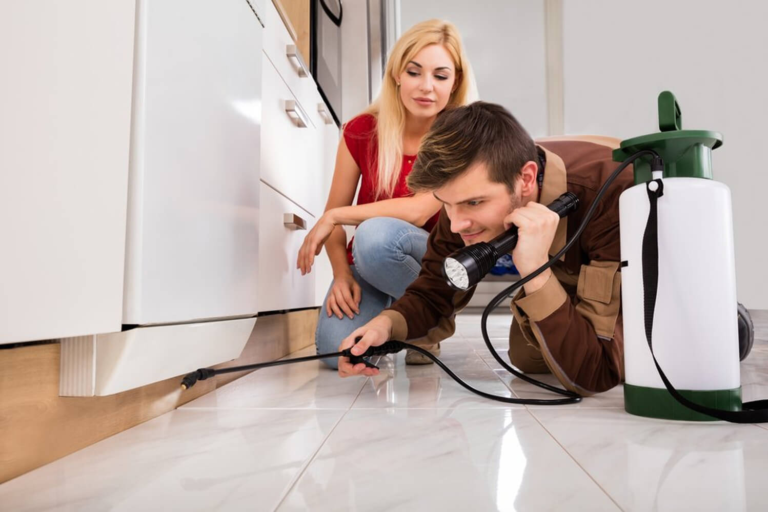 Professional Pest Control in Sydney