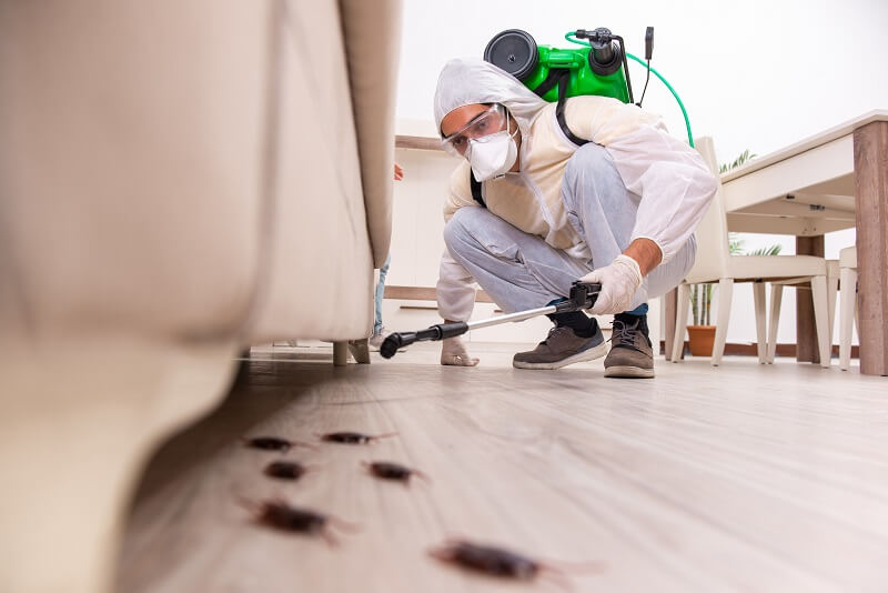 Read more about the article Don’t Let Pests Take Over Your Growing Business