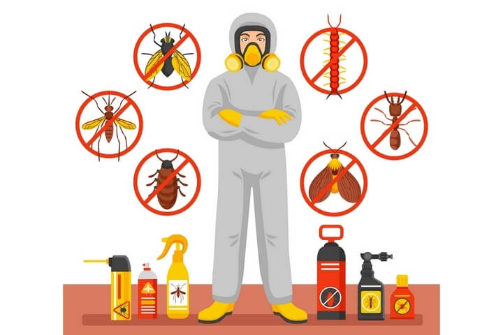 Read more about the article Finding The Best Pest Control Professionals In North Balgowlah Sydney
