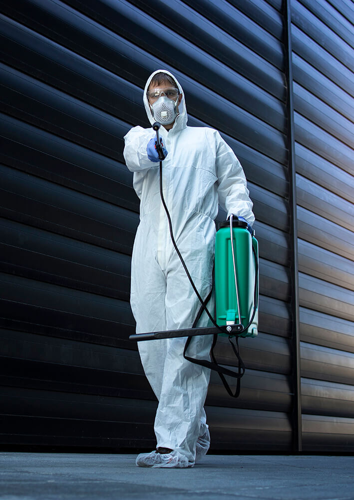Read more about the article Spring Season The Best Time for Pest Control in Sydney