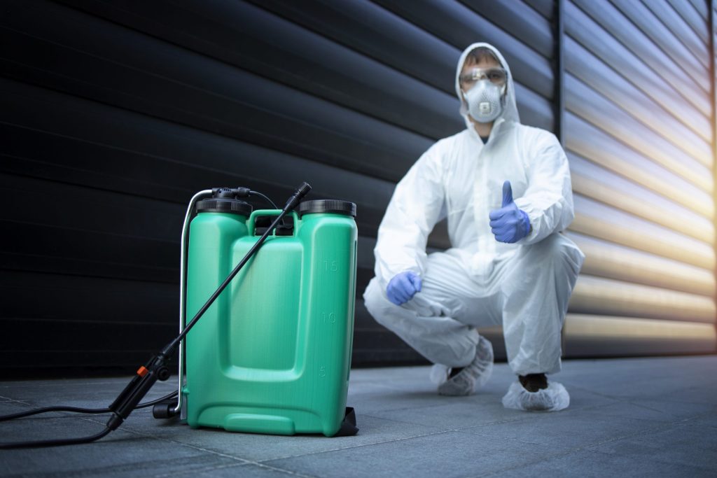 Read more about the article Why Do You Need An Annual Termite Inspection In Sydney?